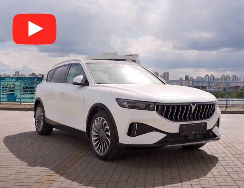 Обзор Voyah Free