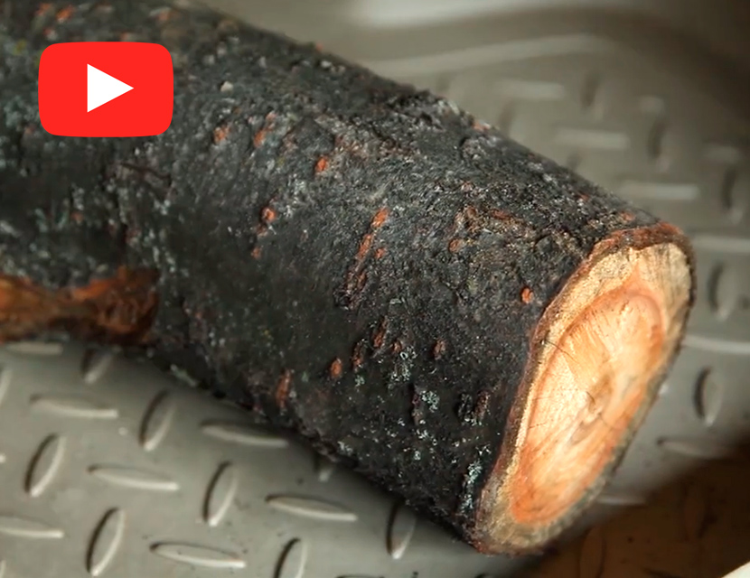 Защита двигателя. Цена риска