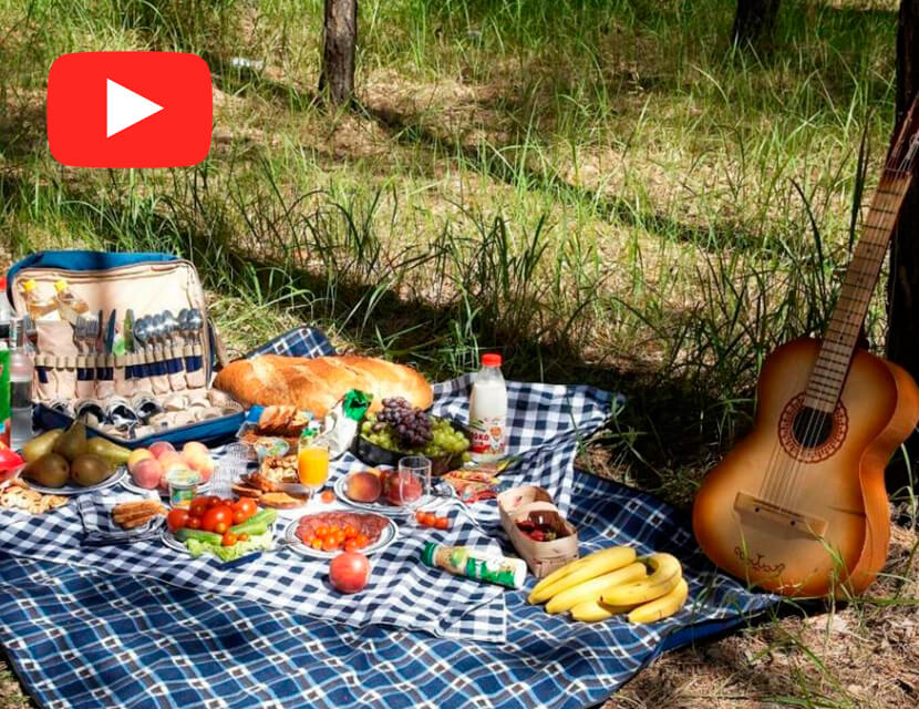 Выезд на природу: как отдохнуть культурно и не попасть на штраф