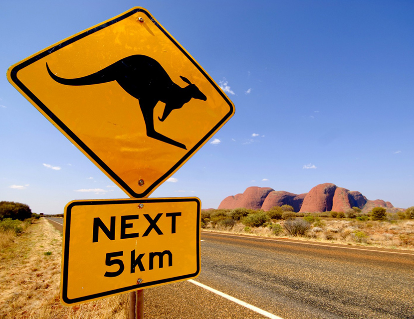 Самые странные дорожные знаки в мире