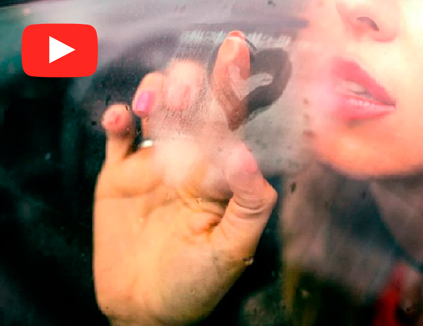 Ежик в тумане