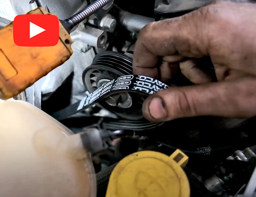 Замена приводного ремня на примере Ford Escape