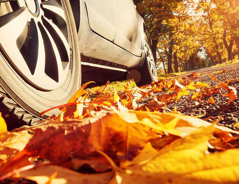 Когда нужна медсправка 