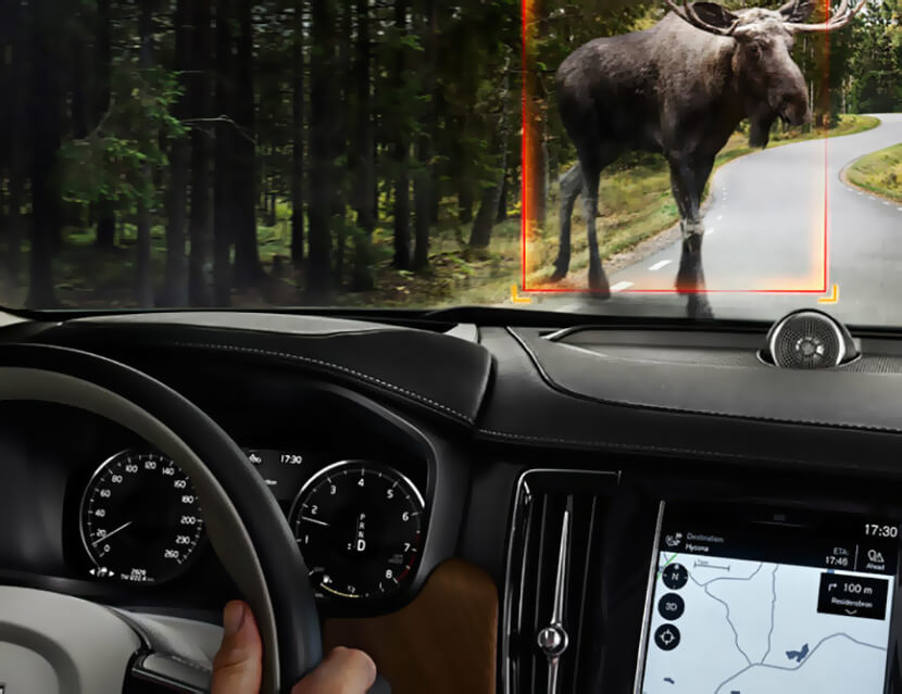 Лосиный тест: испытание на прочность