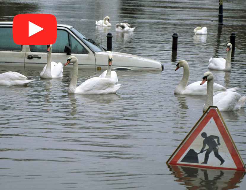 Какое авто не стоит покупать на аукционе в США