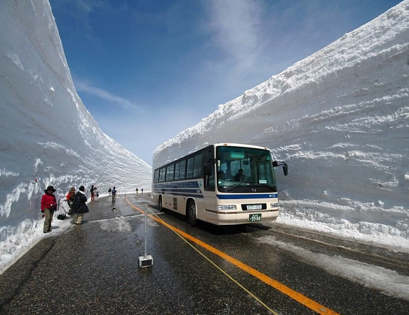 Сезонная посыпка: какими бывают противогололедные реагенты