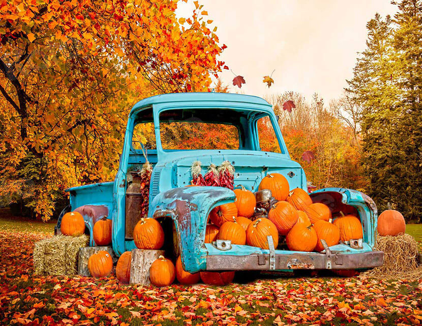 Использование личного автомобиля в служебных целях