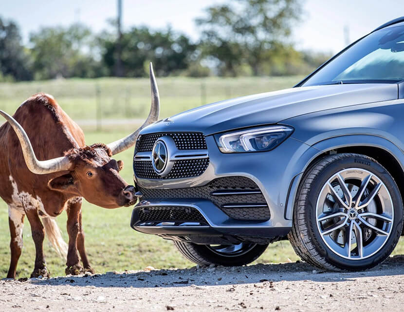 Самые нелепые ПДД