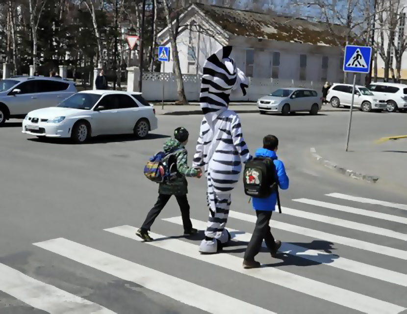 Водитель и пешеход – все-таки они вместе
