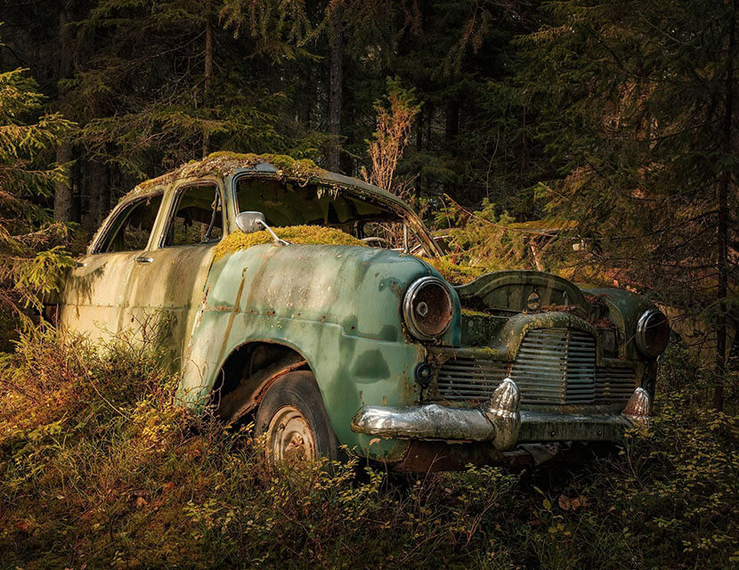 Как не потерять ключ от авто в лесу