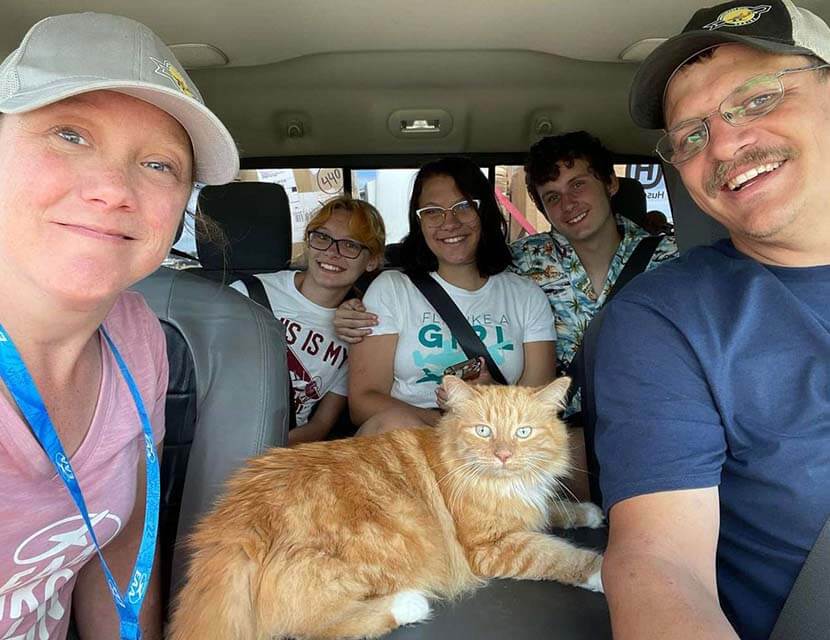 Выбор семейного автомобиля. Мнение кота учитывается