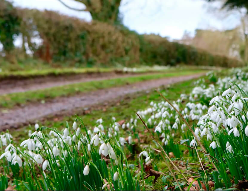 «Подснежники» на дорогах – скрытая угроза