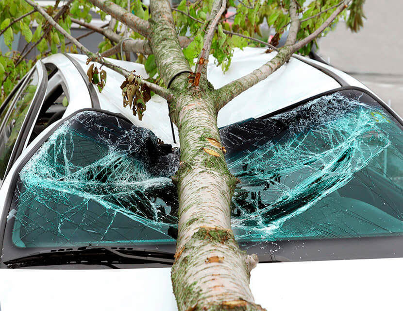 Штормовой ветер против автомобилиста