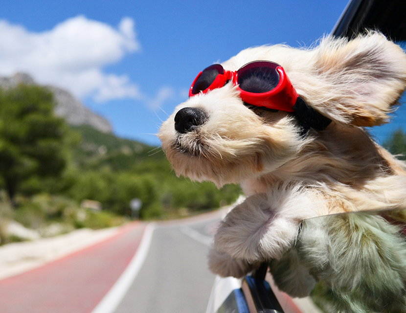 Знаете ли вы, почему не стоит ездить с открытыми окнами