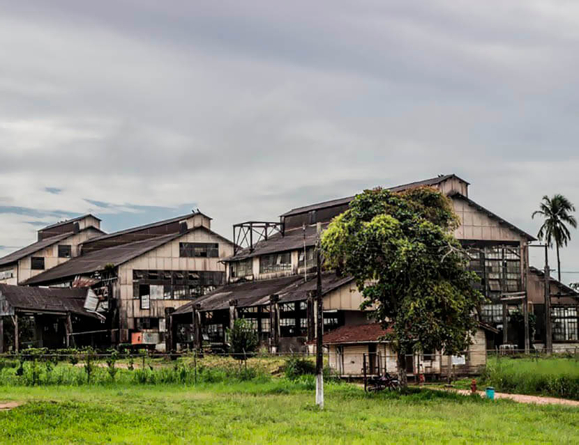 Правда или вымысел: что вы знаете о Фордляндии