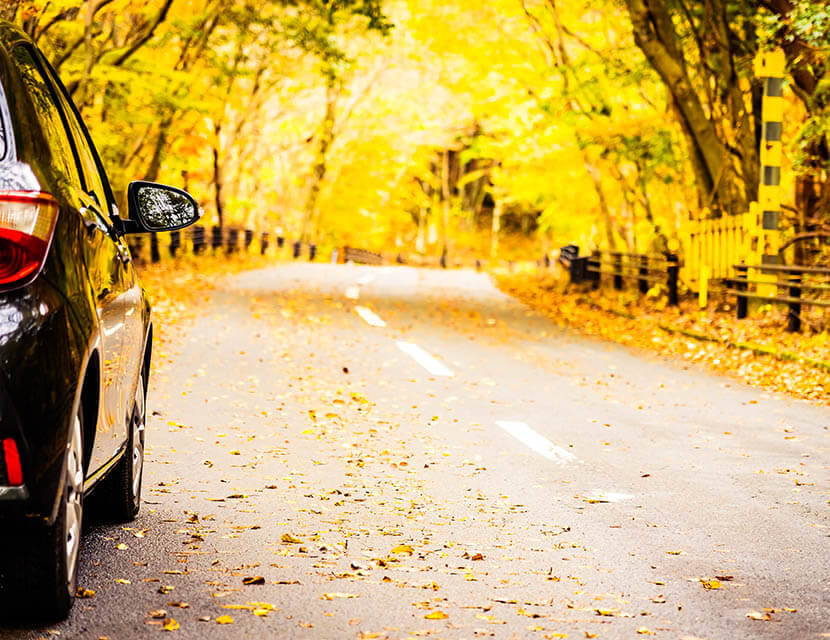 Сезонная переобувка: как можно вернуть бракованные шины