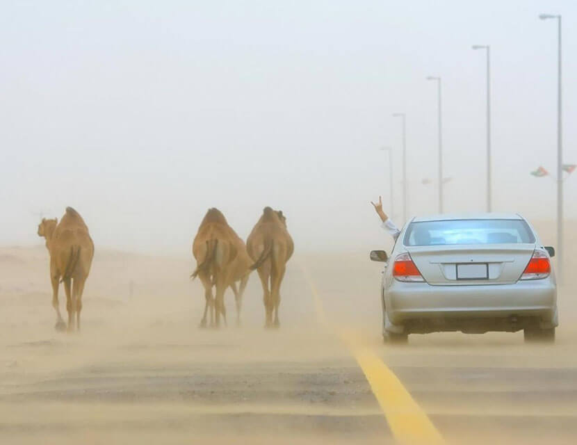 Не самые адекватные правила дорожного движения