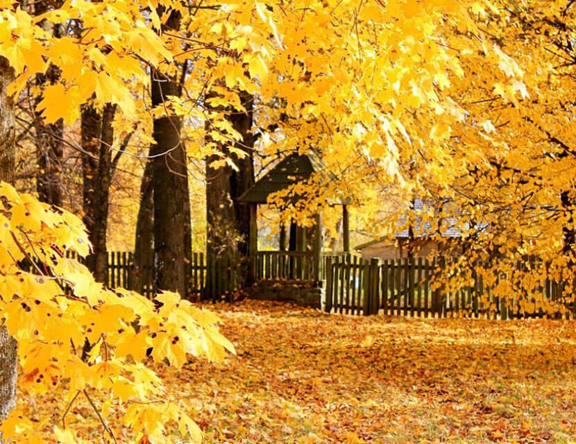 Осенние путешествия по Беларуси