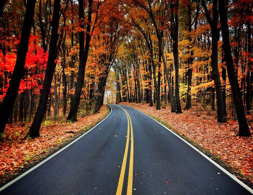 Осенняя перепрошивка: как подготовиться к зиме за рулем